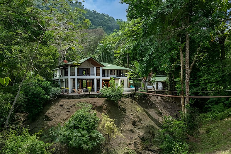 The Jungle Inn