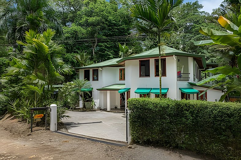 The Jungle Inn